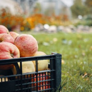 Πλαστικά Κιβώτια Πολλαπλής Χρήσης